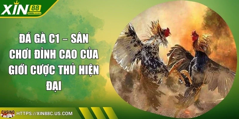 Đá Gà C1
