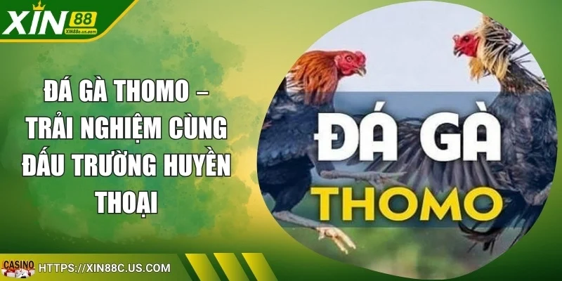 Đá Gà Thomo