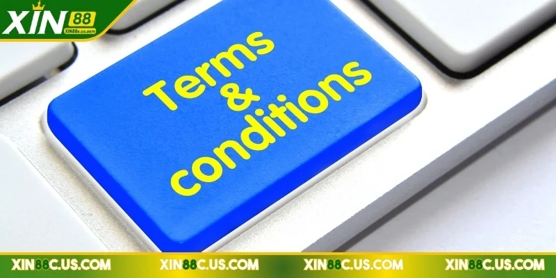 Điều khoản điều kiện