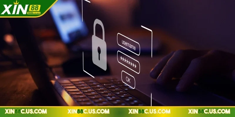 Giới thiệu XIN88