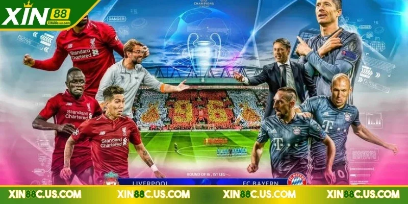Saba Sports XIN88